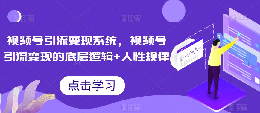 图片[1]-视频号引流变现教程，视频号引流变现实操技巧！-暗冰资源网