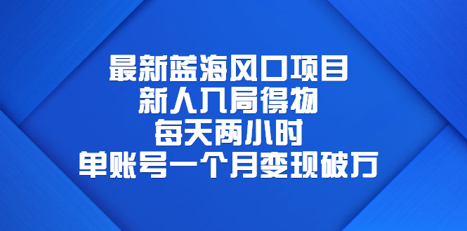 图片[1]-最新蓝海风口项目，每天两小时，单账号一个月变现破万-暗冰资源网