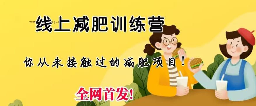 图片[1]-线上减肥训练营【月入3w】足不出户仅靠拉几个社群，发几条朋友圈即可【实操教程】-暗冰资源网